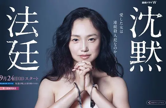 沉默法庭 海报