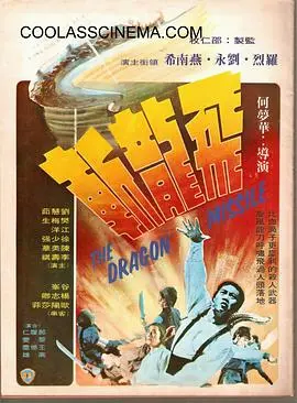 《飞龙斩》动作大片：武侠江湖的血雨腥风